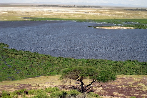 Kenia (220)